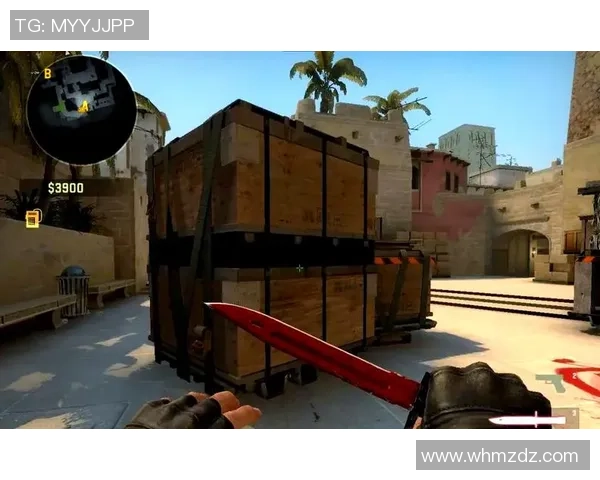 探秘FPX战队在CSGO中的防守策略与战术解析 探秘FPX战队在CSGO中的防守策略与战术解析