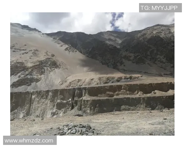 深度对话：杨娜在CSGO世界中的成长与挑战之路