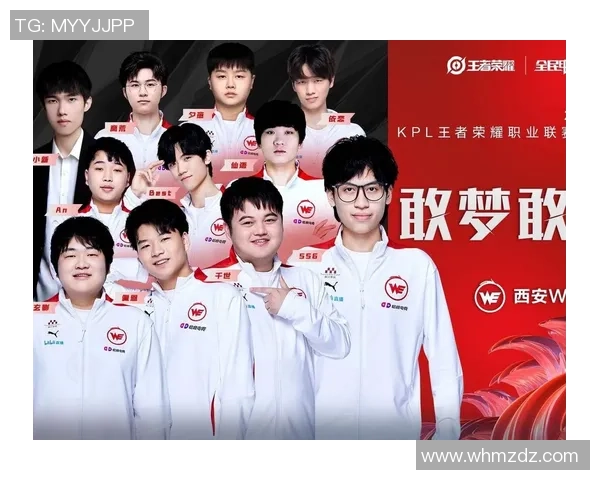 王者荣耀技术排行榜揭晓WE战队荣登第十名引发热议