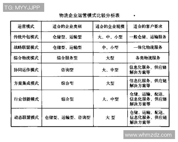 武汉乒乓球队的成功之道与运营模式深度解析