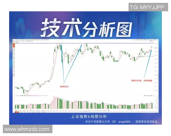成都篮球队与深圳篮球队赛后技术分析与战术复盘探讨 成都篮球队与深圳篮球队赛后技术分析与战术复盘探讨
