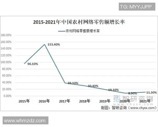 广州网球队状态对比深度解析与未来发展趋势展望